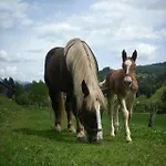 Kiblerhof *