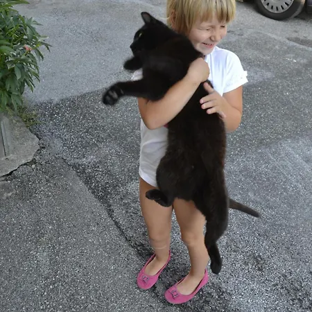 Kiblerhof Apartment *