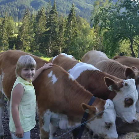 Kiblerhof Apartment Russbach am Pass Gschuett