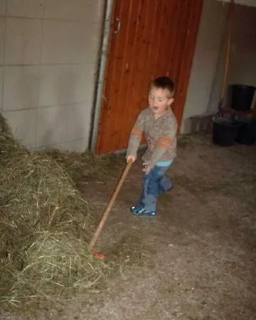 Kiblerhof アパート