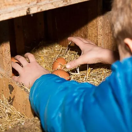 Kiblerhof Apartment Russbach am Pass Gschuett