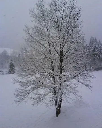 Kiblerhof * Russbach am Pass Gschuett