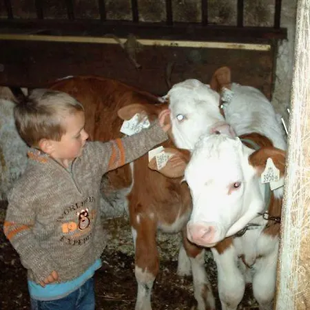 Kiblerhof アパート