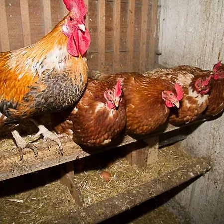 Kiblerhof ルスバッハ・アム・パス・クシュット